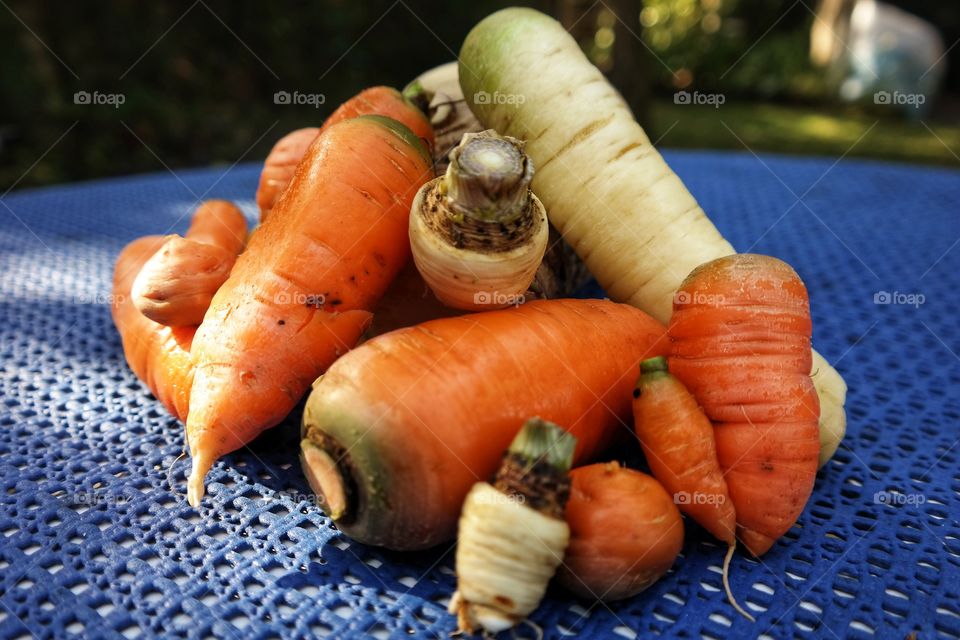 White and orange carrots