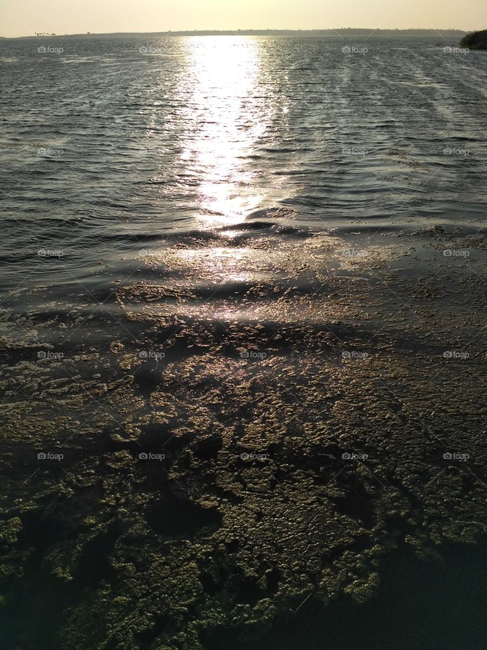 sun rays in water