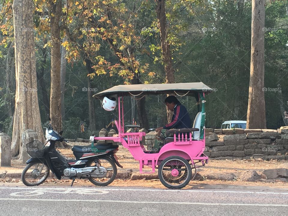 Transportation System, Vehicle, Wood, Road, Wheel