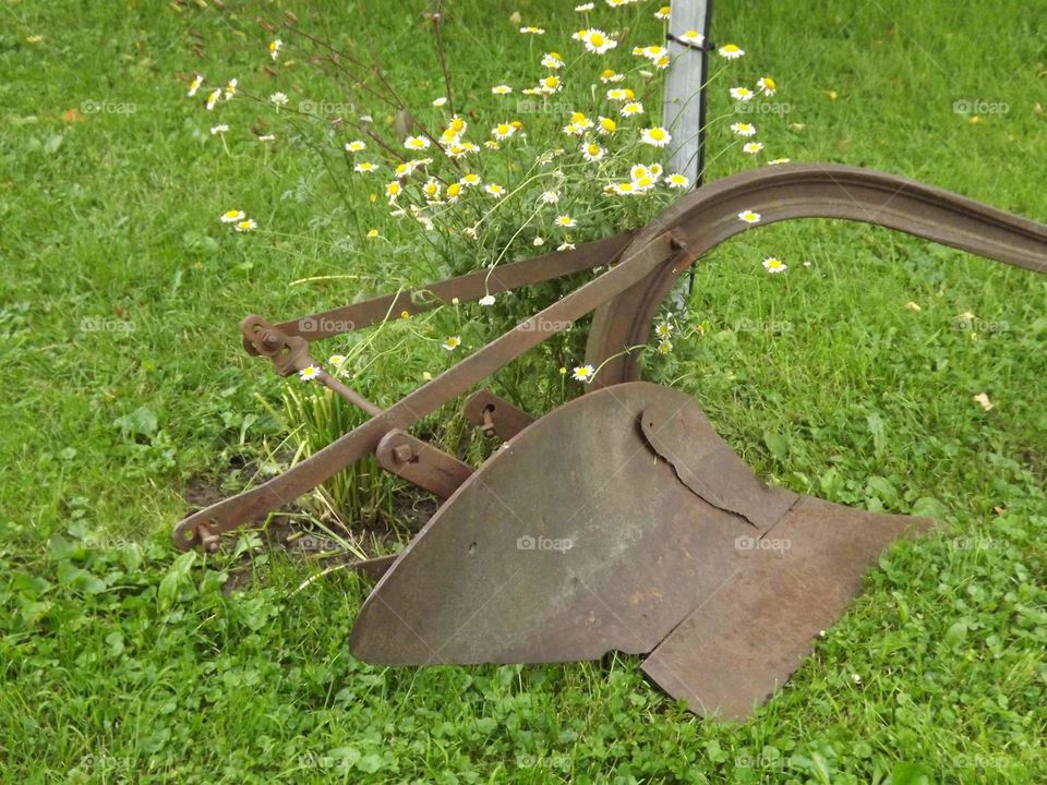 My grandpa's plow