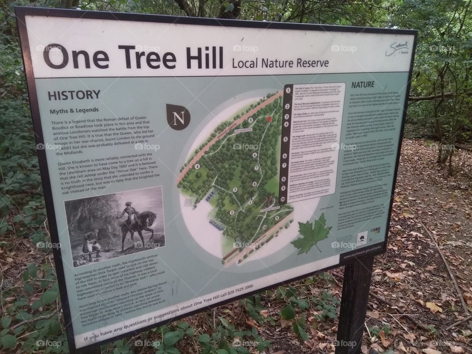 The real One Tree Hill