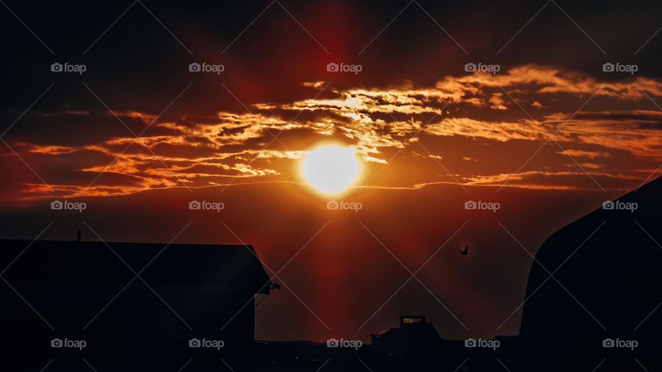 Orange sunset over the sky