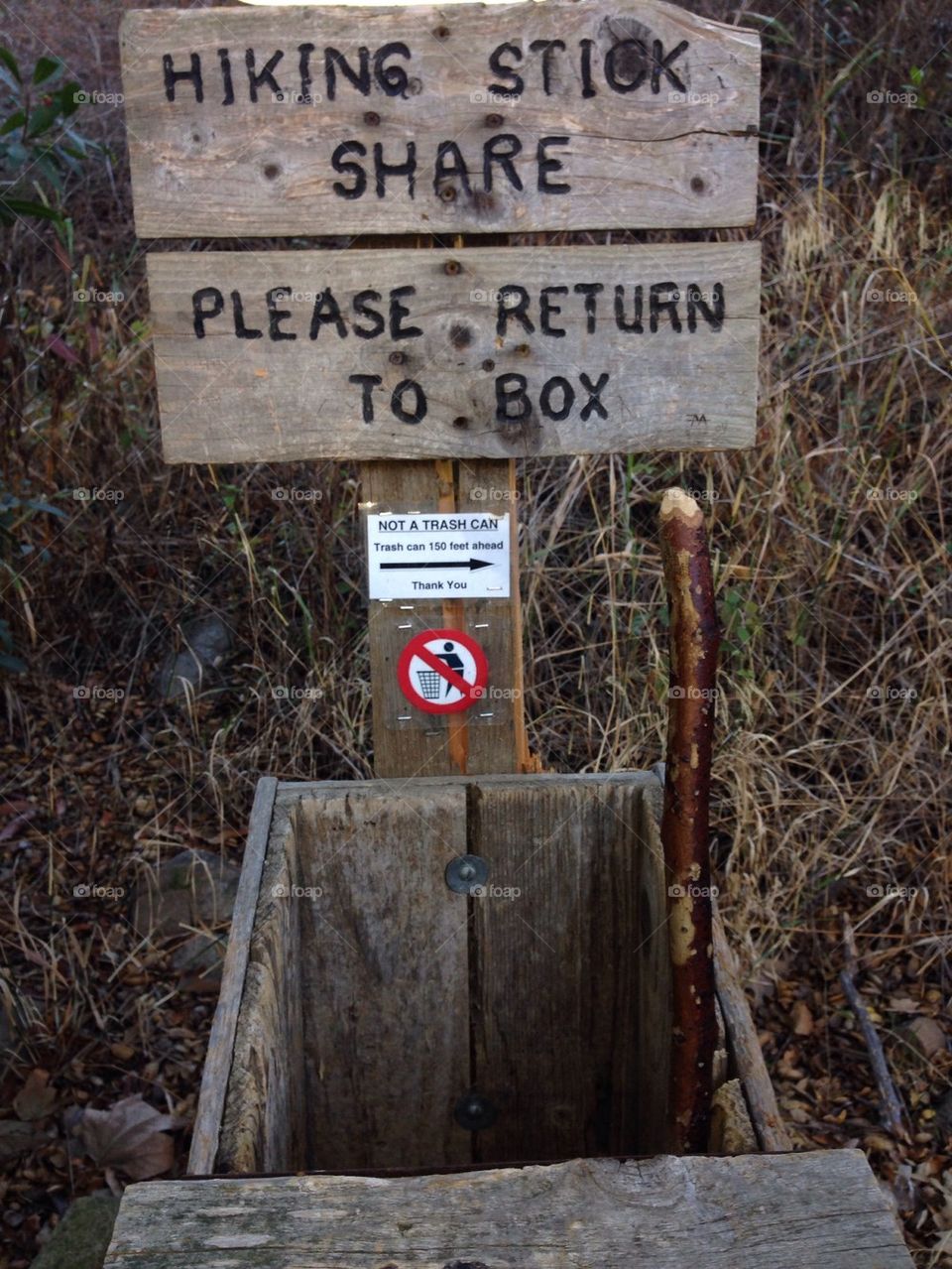 Hiking in the Elfin Forest