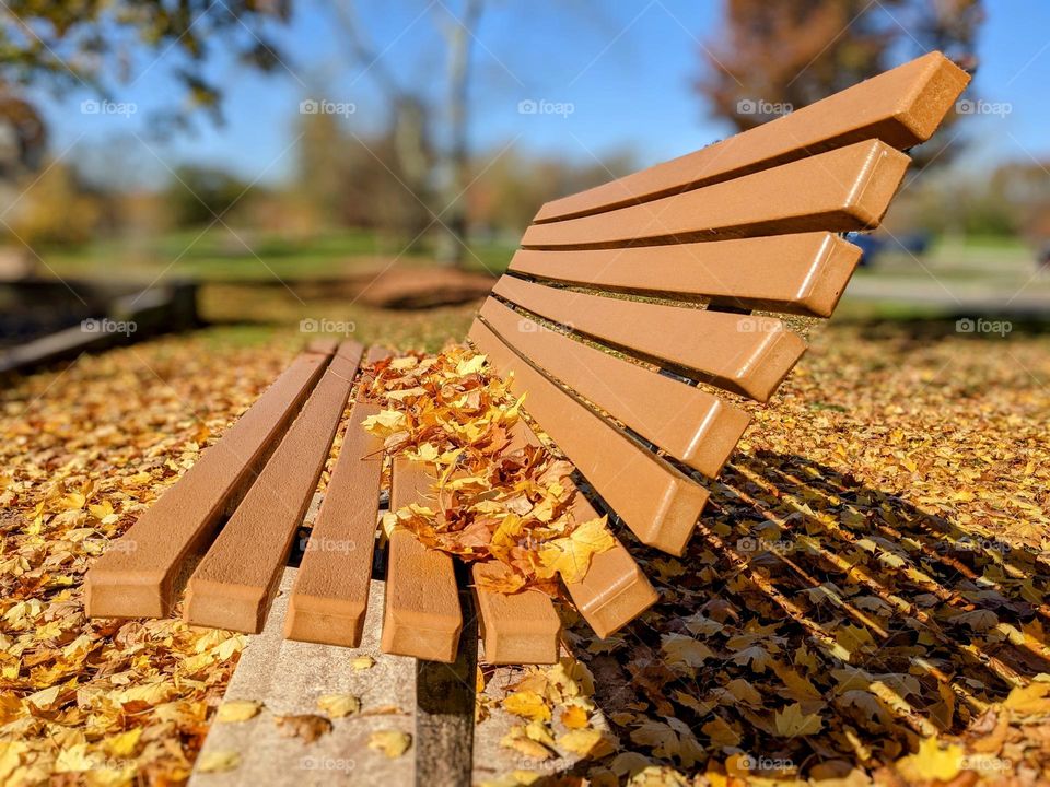 Autumn bench