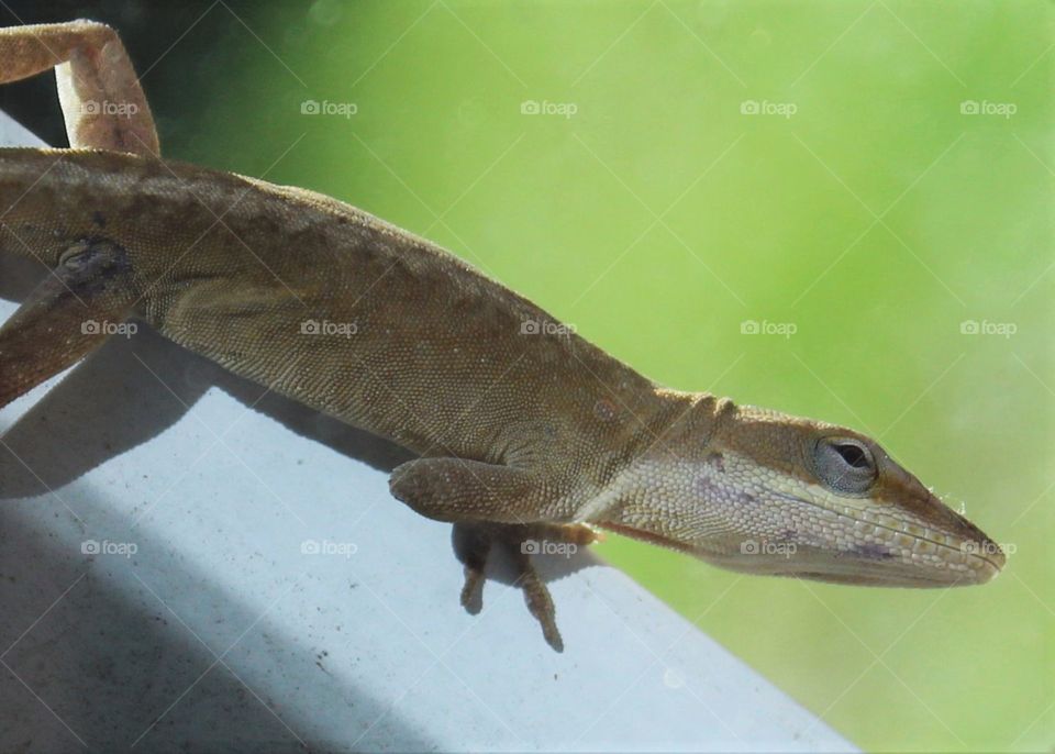 Here's looking at you