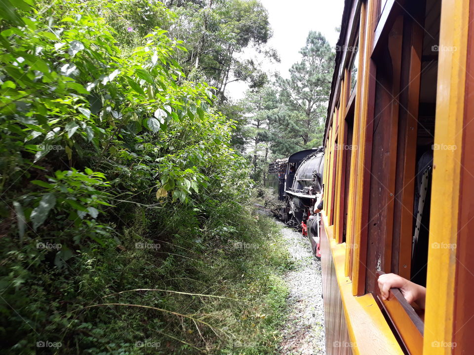 LOCOMOTIVE  Rio  Negrinho  SC  Brazil