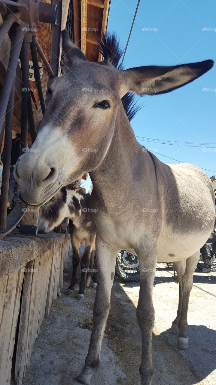 Perfect imperfections