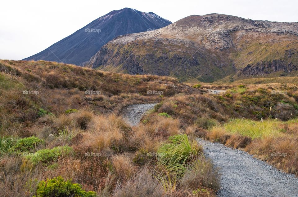 Road to volcano . Tongariro, New Zealand 