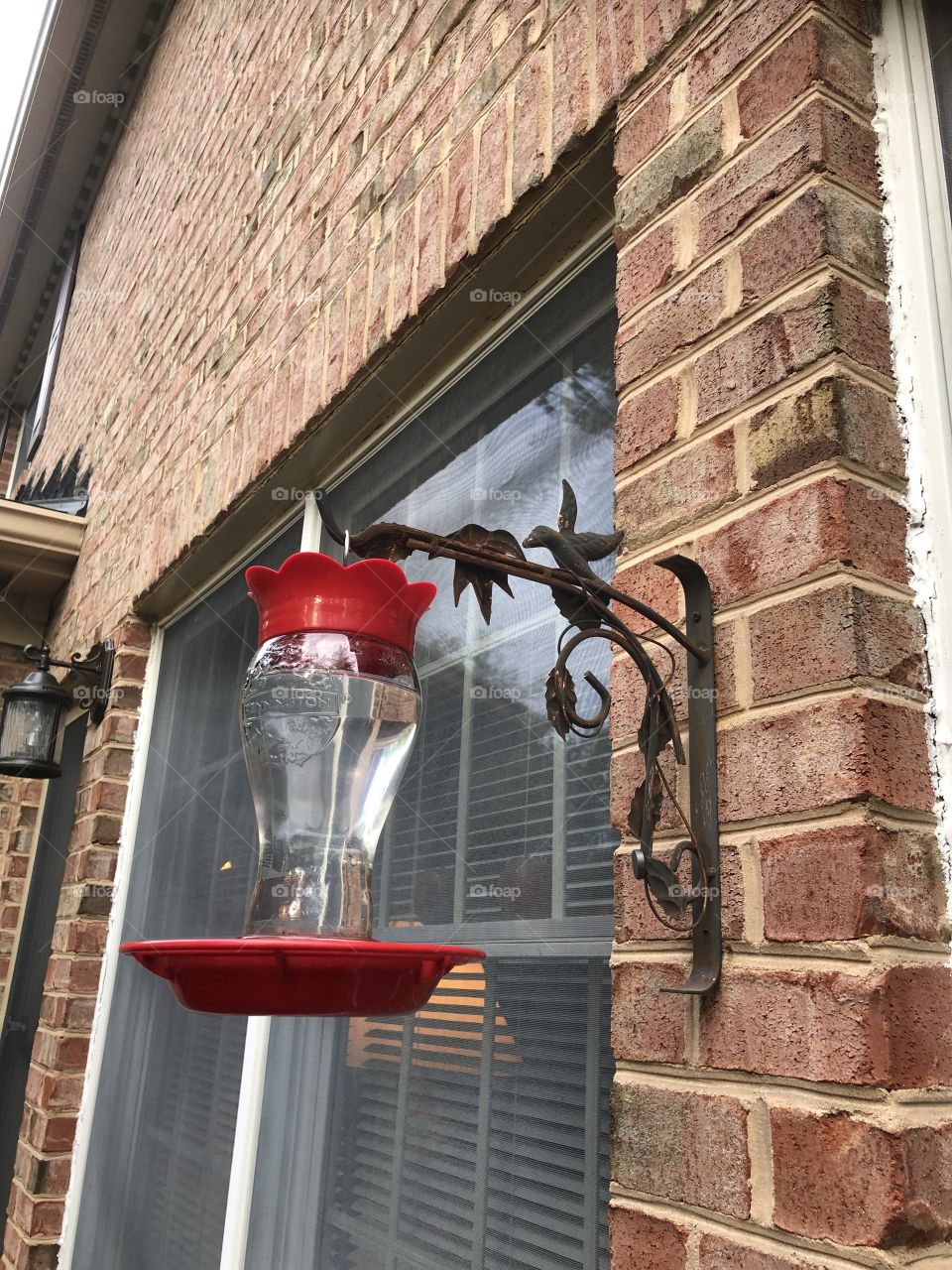 Outdoor humming bird feeder waiting for a visit 