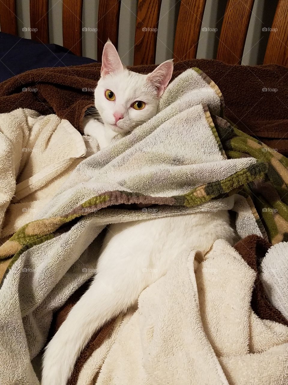 nothing like warm towels out of the dryer!