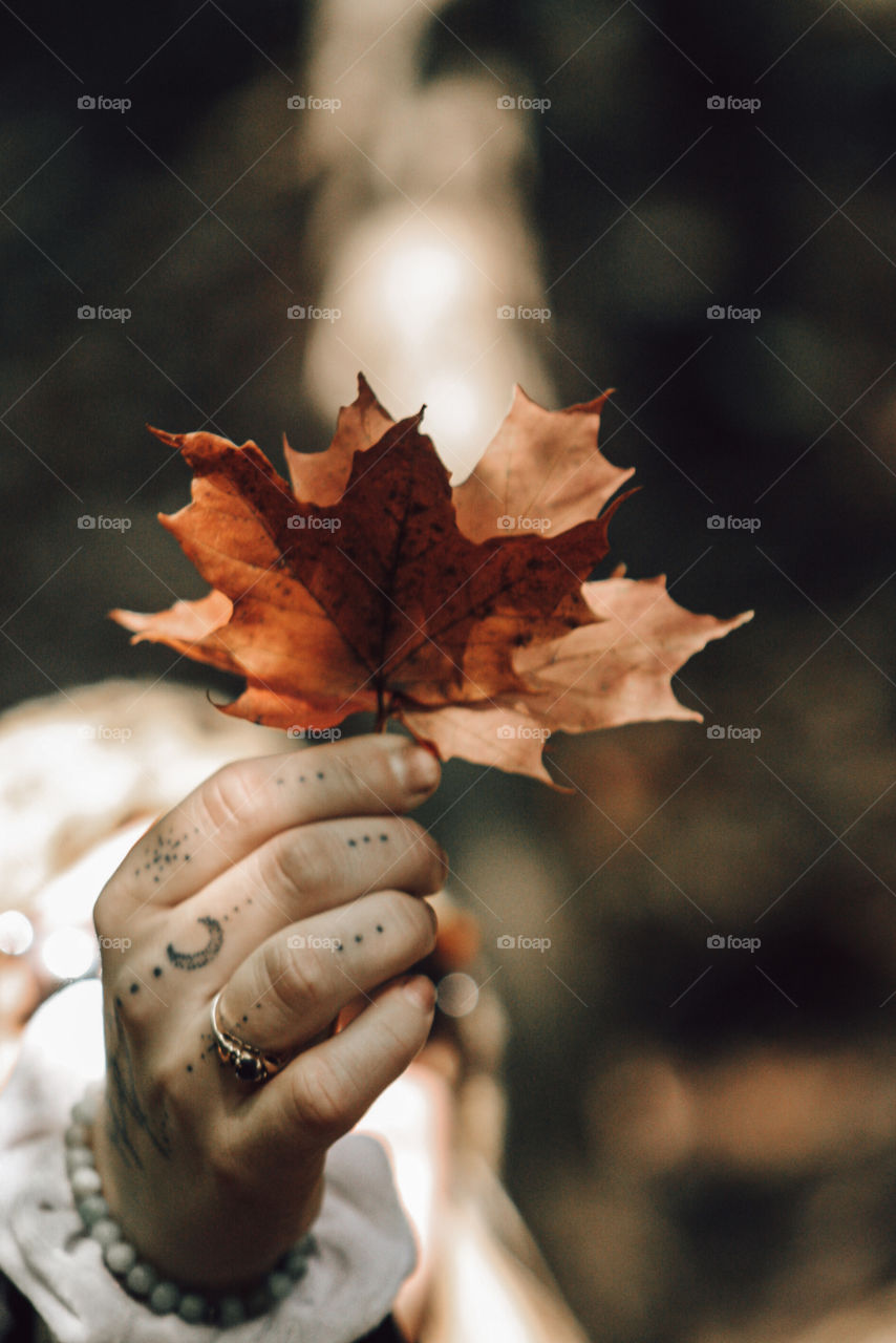 Tattoos & Leaves 