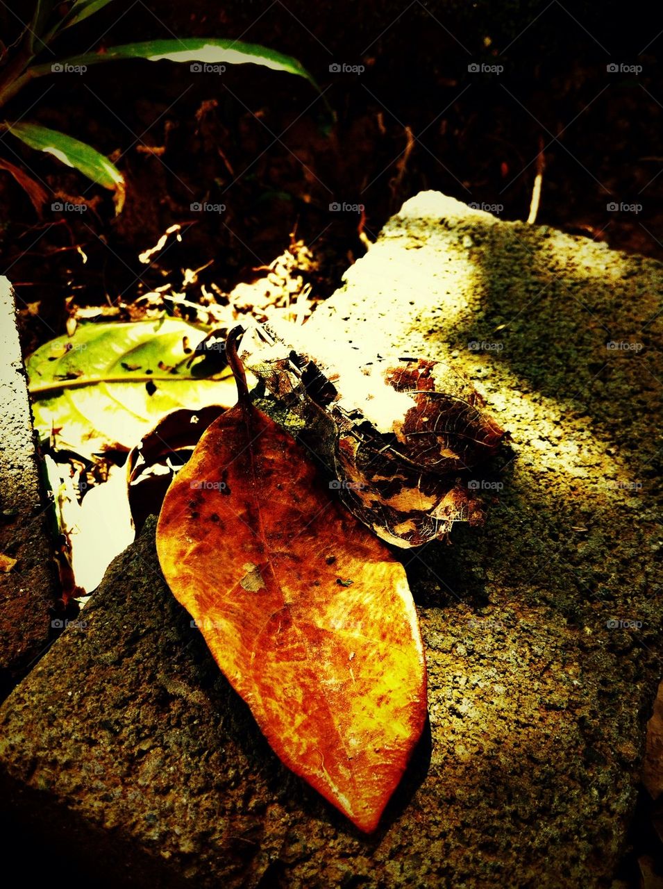 Nature vs construction