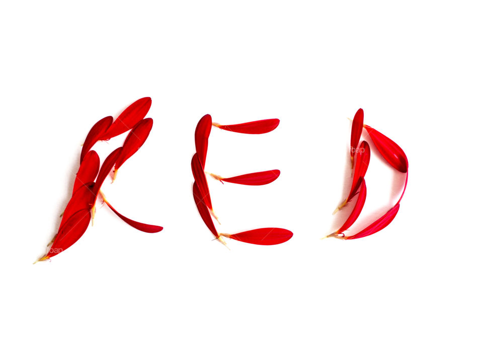 Red text made with flower petals