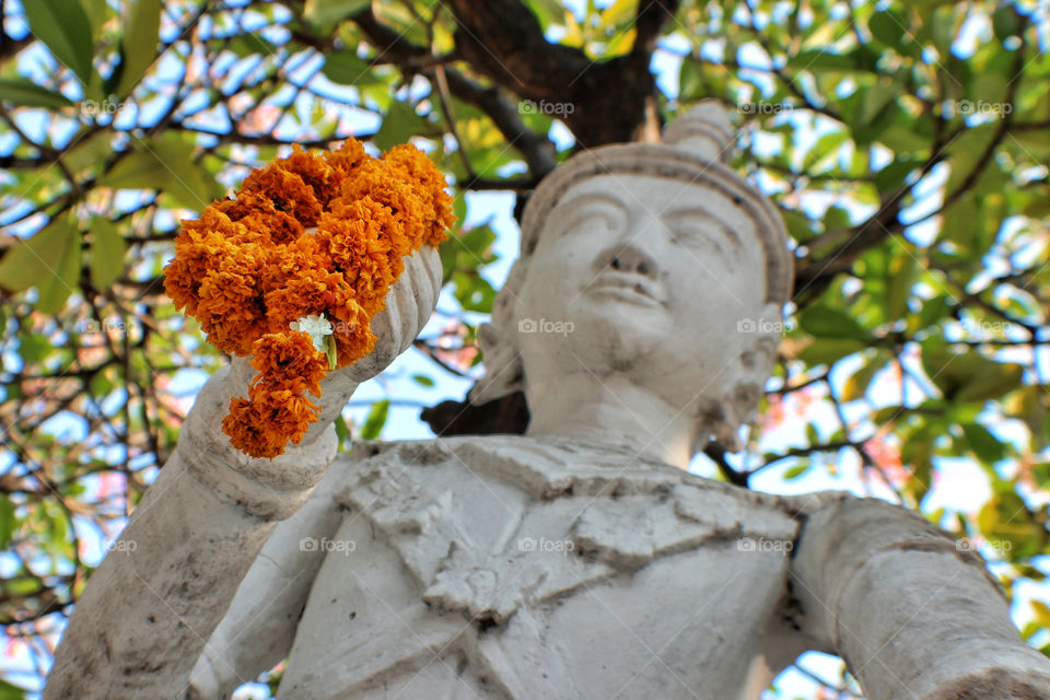 flowers orange thailand buddha by twilite