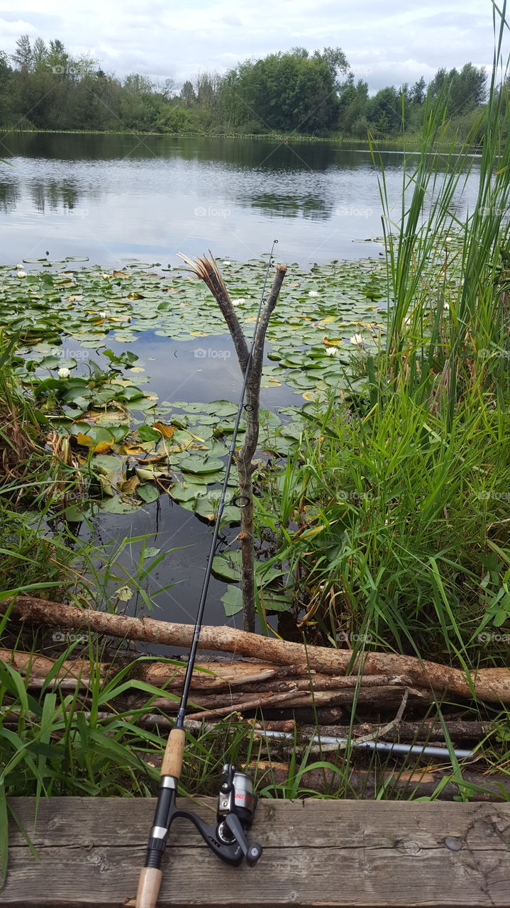 Forbes Lake