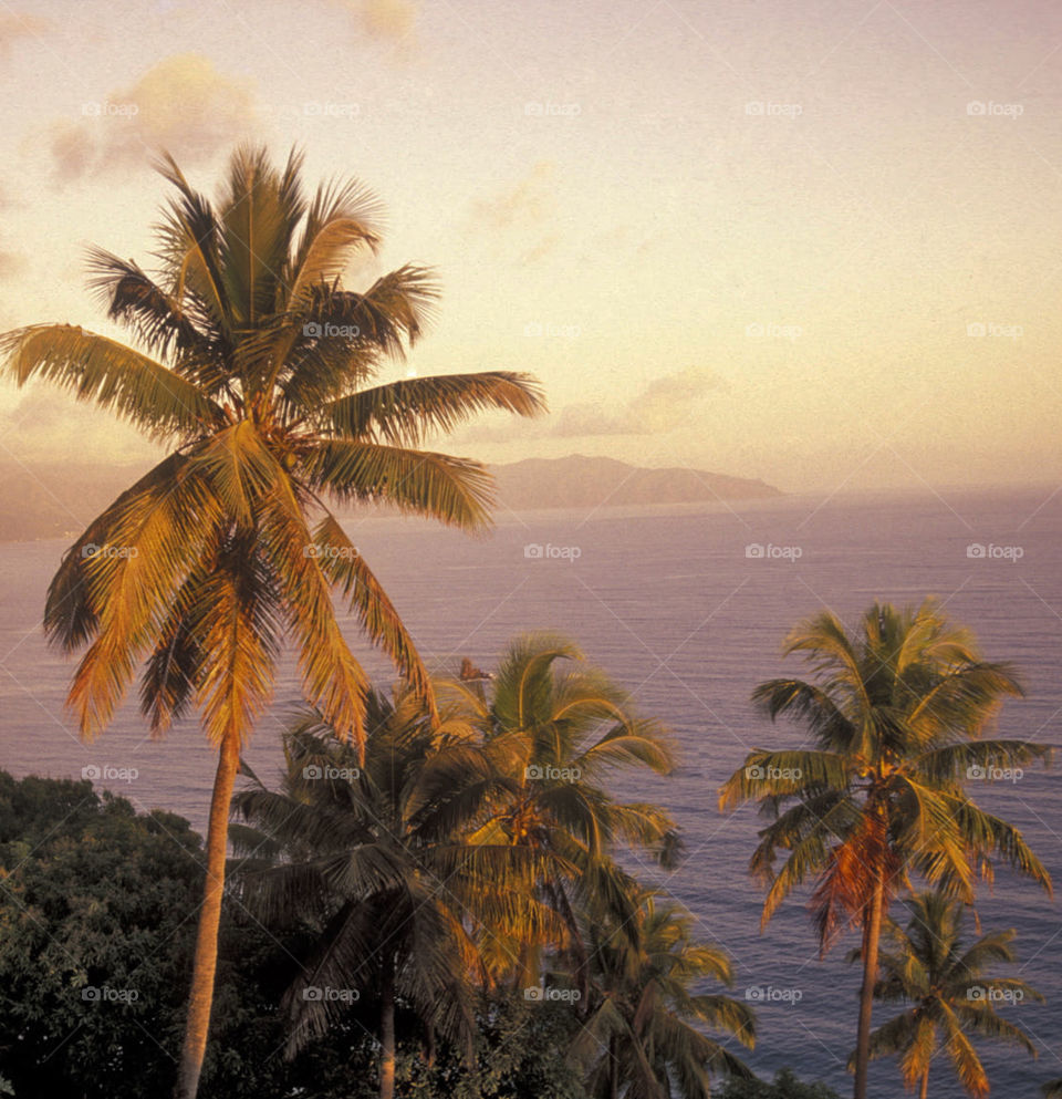 Travel around the world