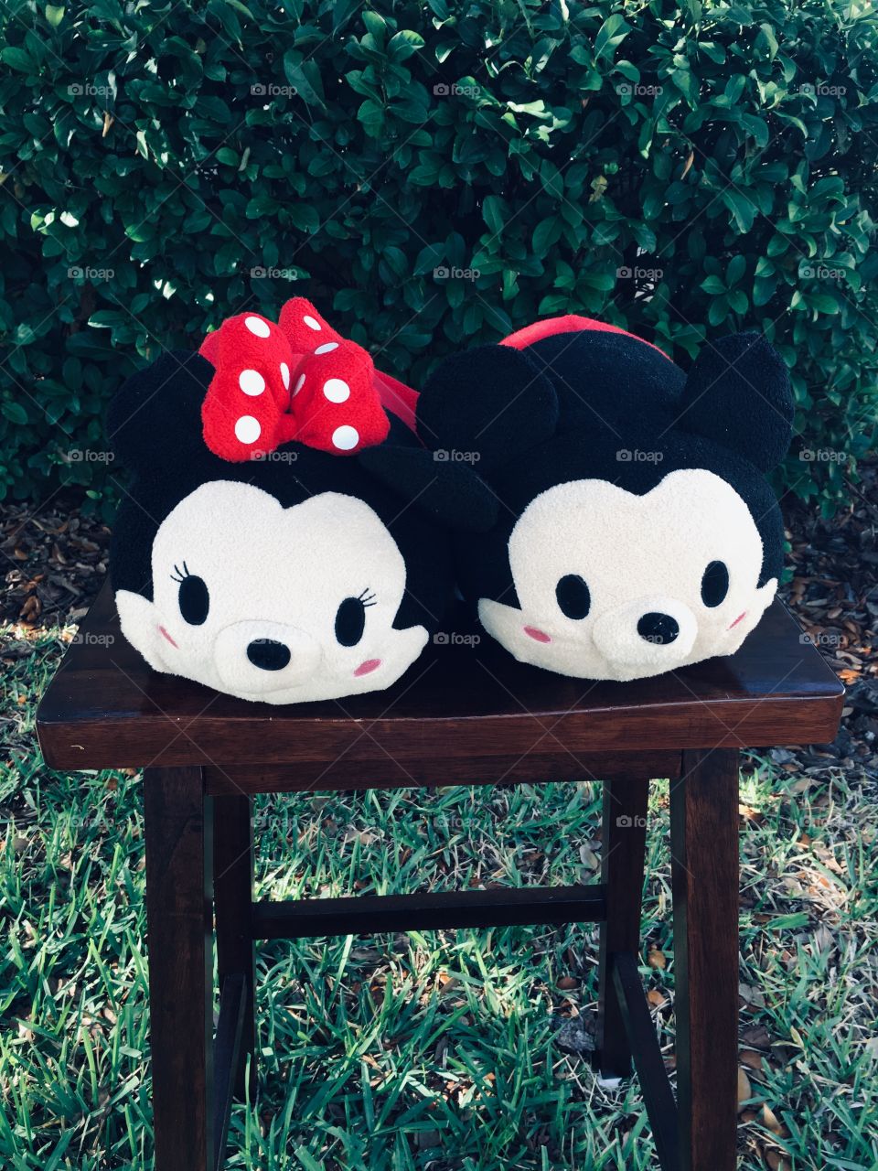 Minnie & Mickey 