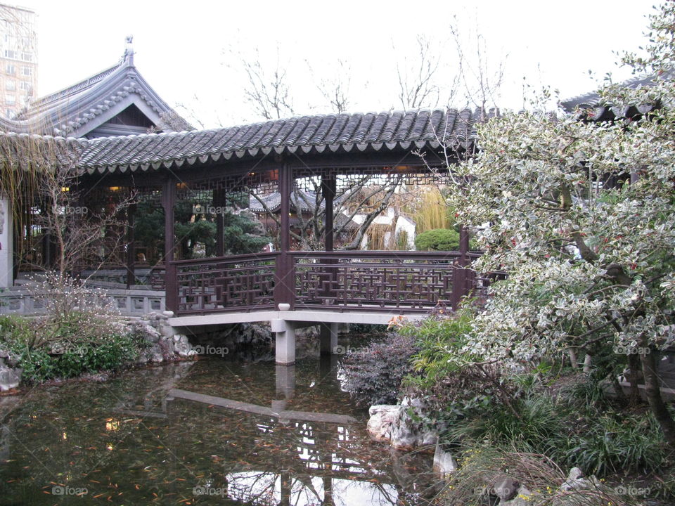 Chinese Garden Bridge