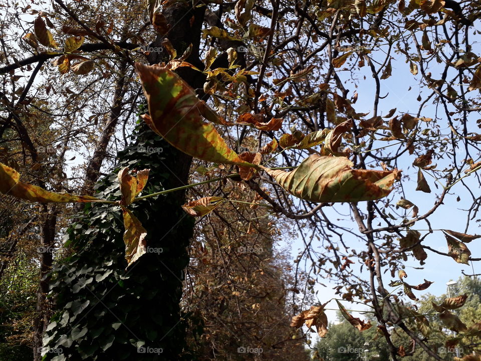 autumn is coming pt. 5