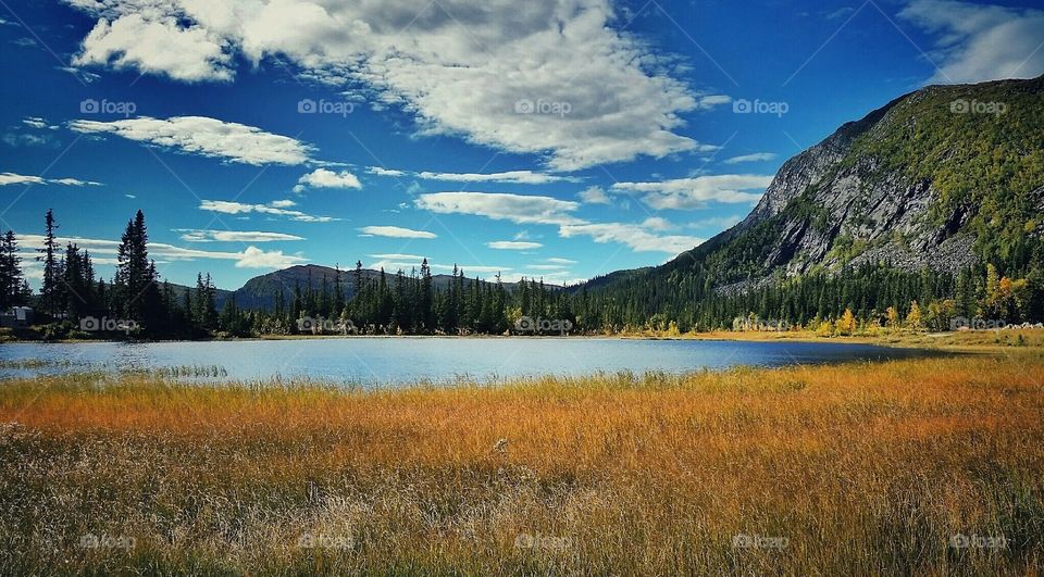 Autumn in the mountains. Haglebuvannet in Norway