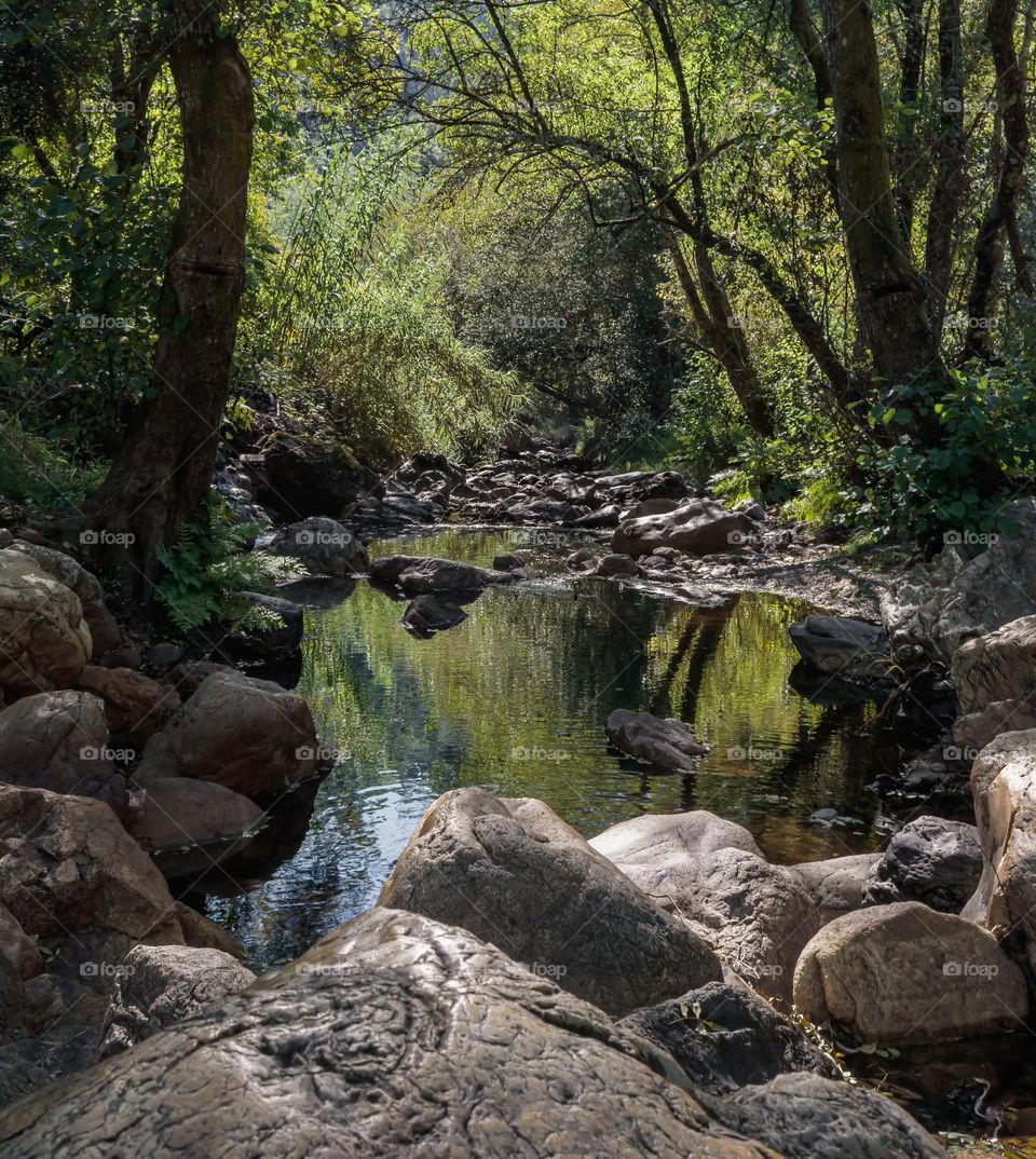 A tree and boulder lined stream at Fragas Sao Simao, Central Portugal 