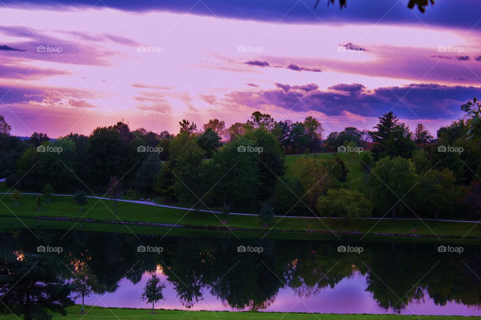 Trees reflecting on lake