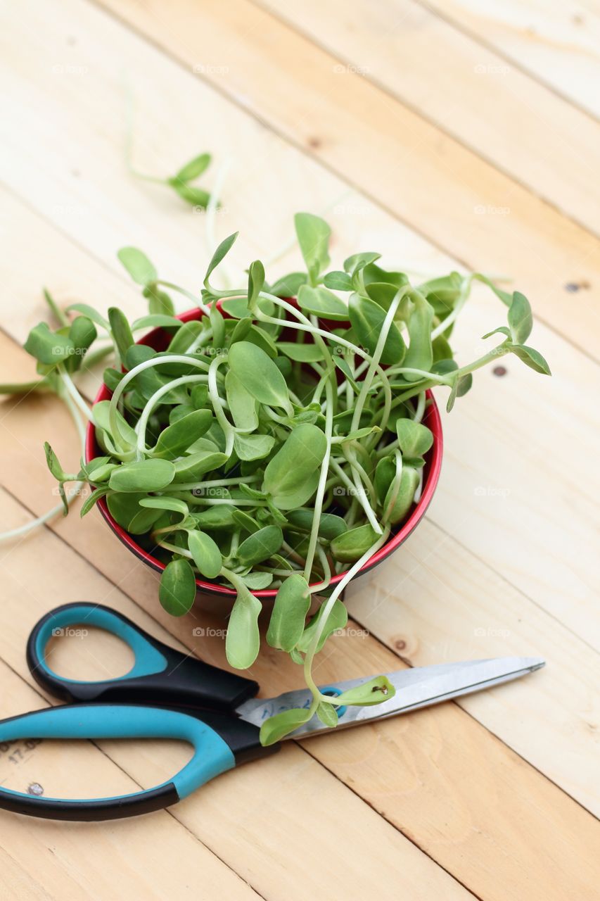 Micro greens, vegetables