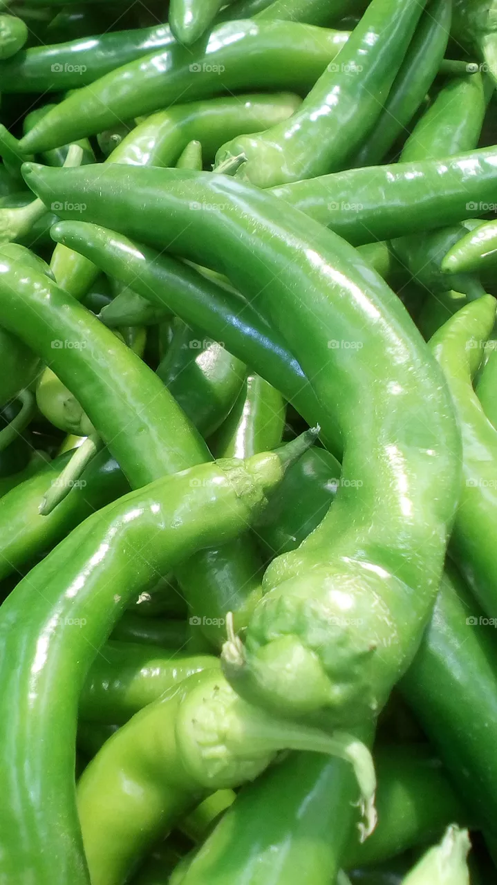 Vegetable