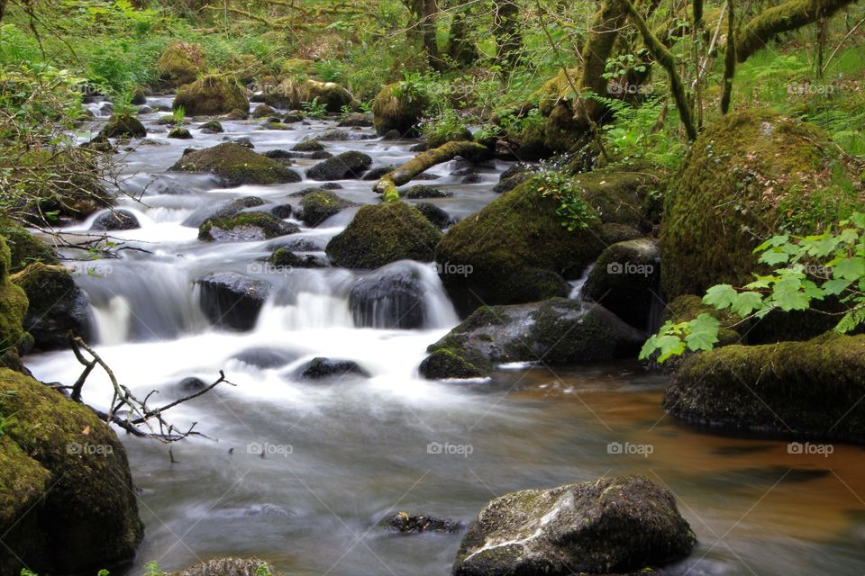 River Bovey