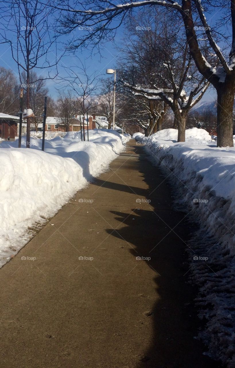 Winter pathway 