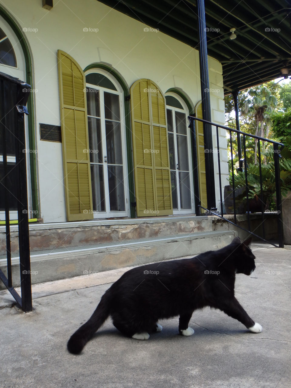 Key West Hemingway House