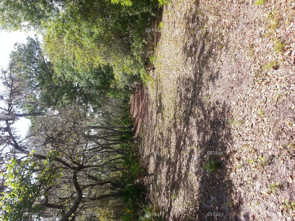 Serenity. I walk these woods when I want to speak with my Mom. 