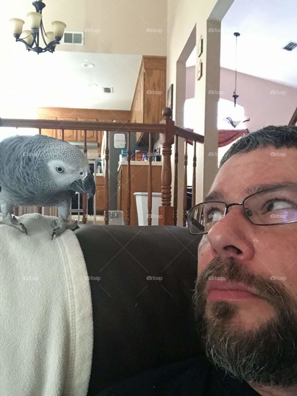 Parrot curiosity