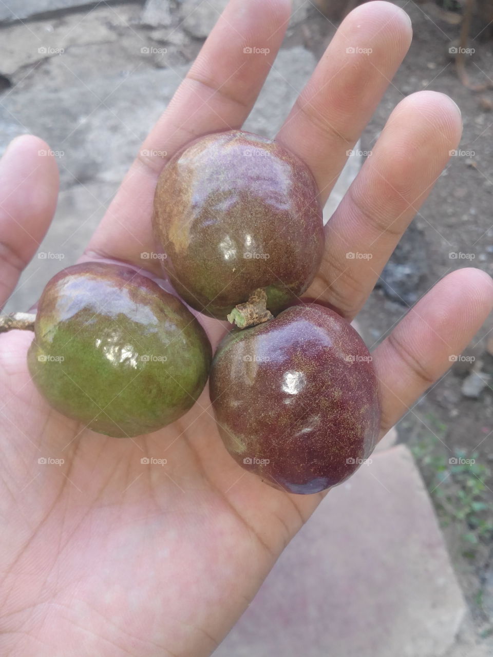 fruit on hand