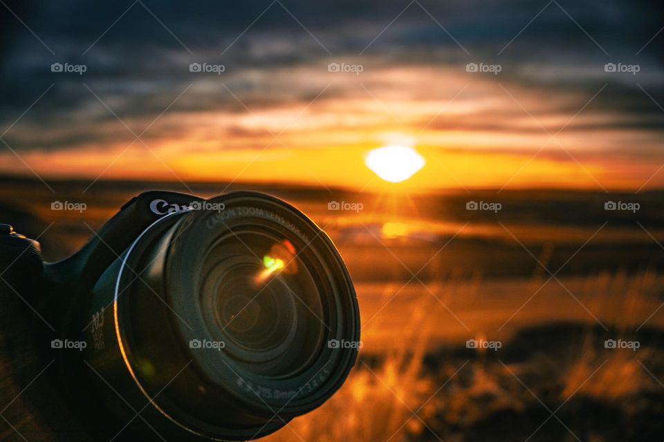 Canon camera being captured in the fields.