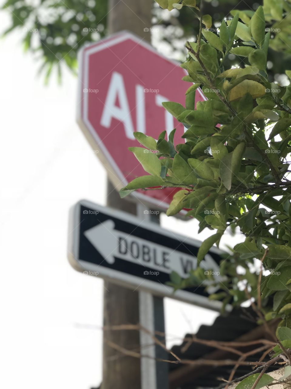 Stop sign and one way sign in Guatemala 