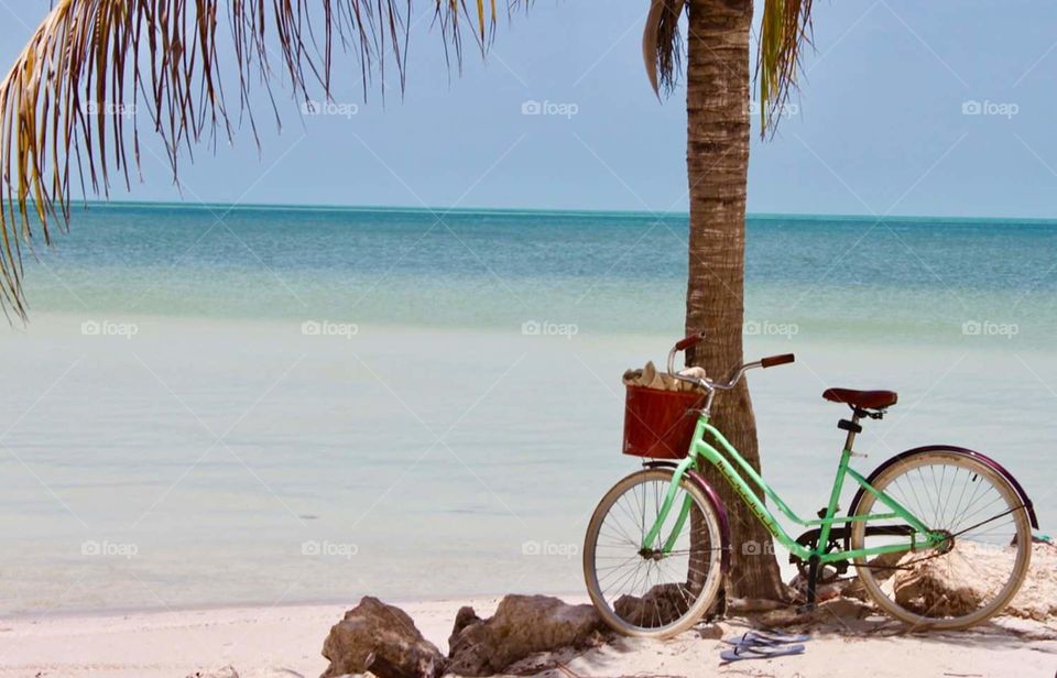 Relax with nature. serenity