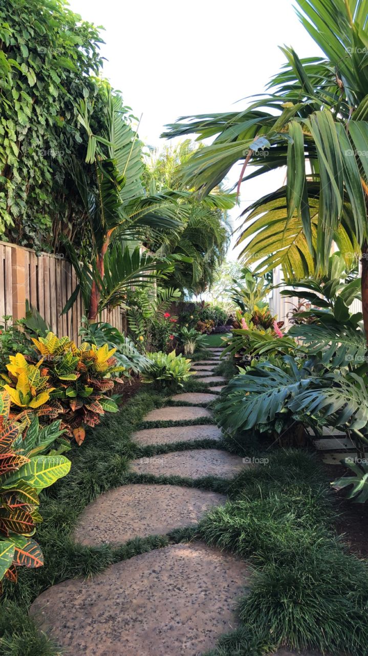 Kauai Airbnb 