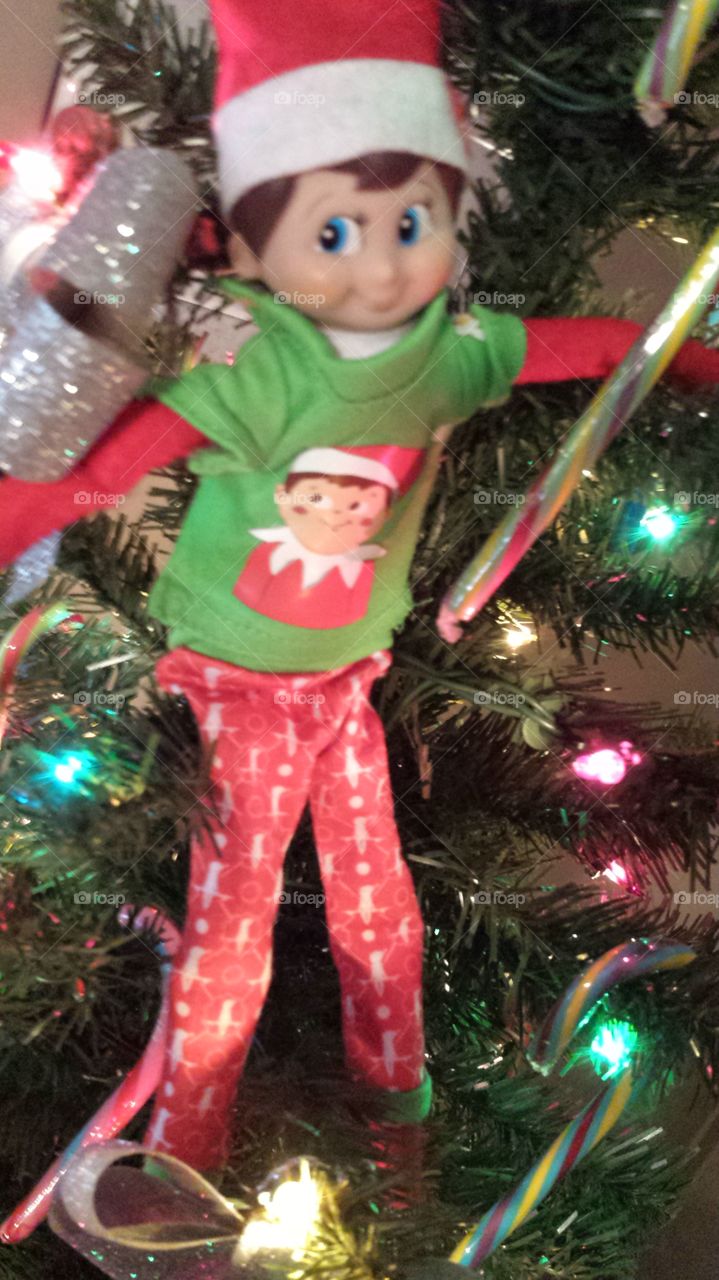 Elf on the shelf in the tree