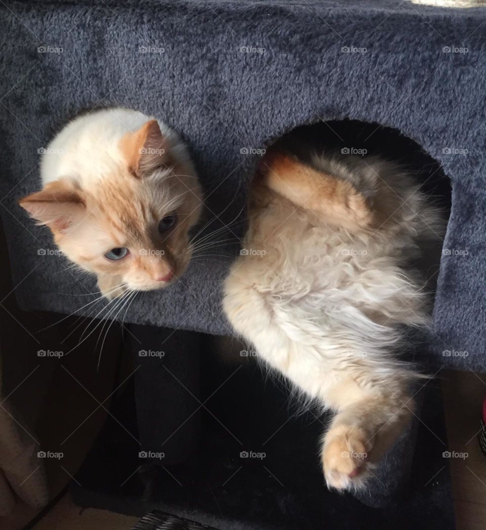 One way of relaxing 😂