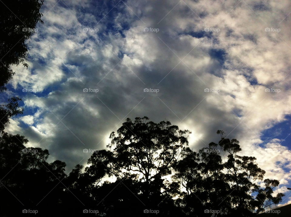 sky grey clouds trees by king