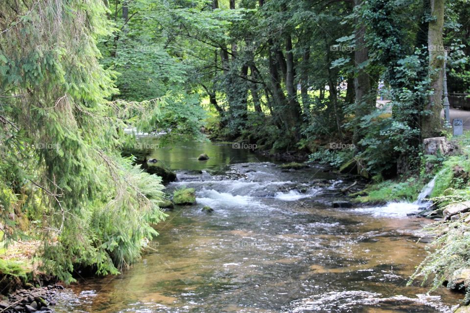 Grosse Einz in Bad Wildbad