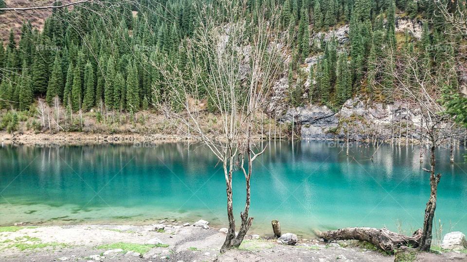 High in the Kazakh mountains