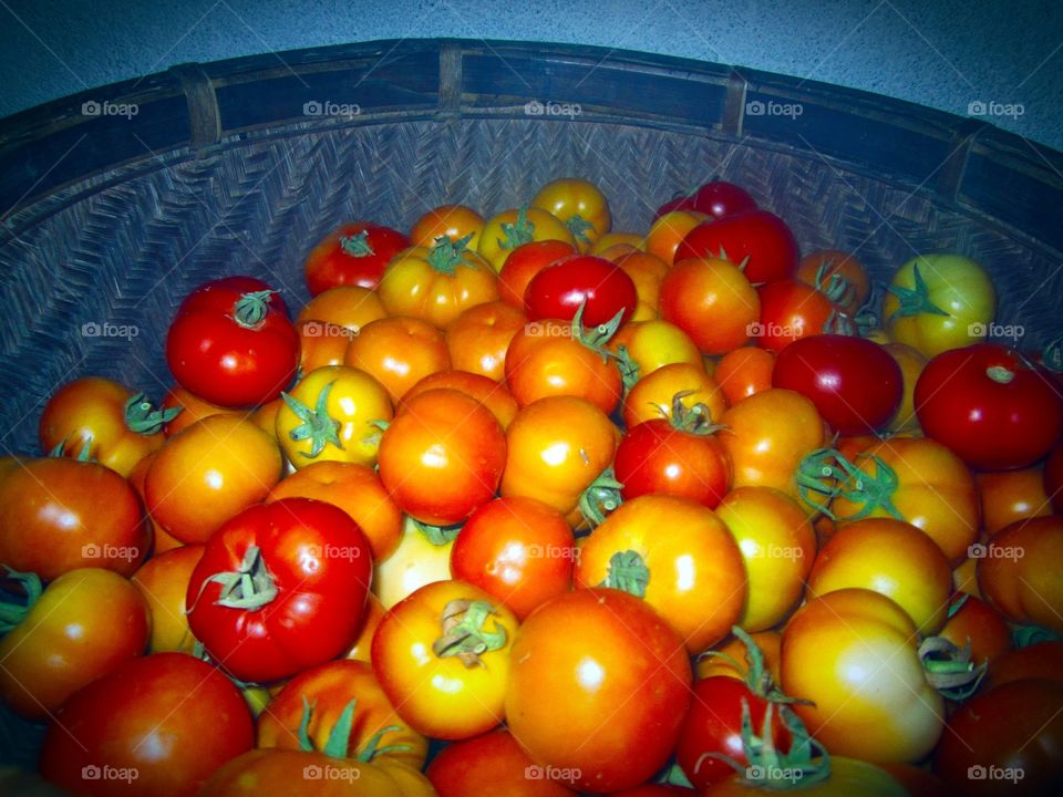 Tomatoes