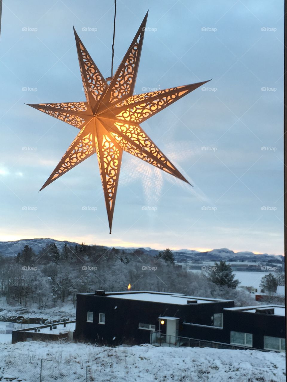 Christmas star. 