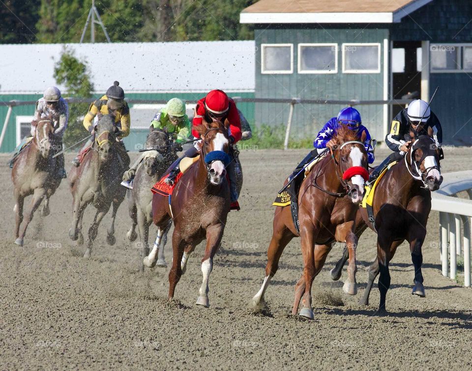 The Gallant Bob Stakes by Fleetphoto