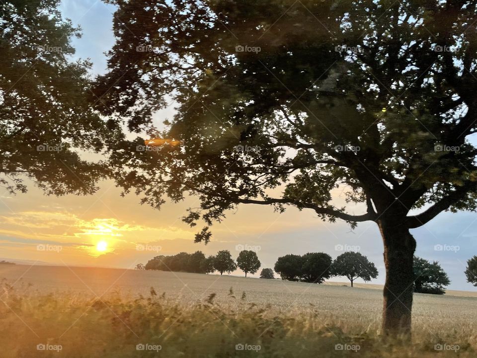 Last nights sunset view from the car 🧡