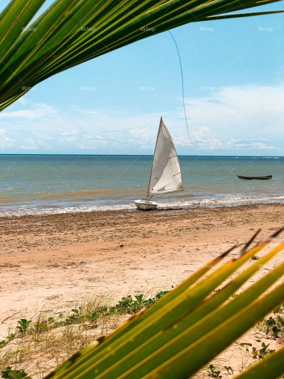 Cumuruxatiba Bahia Brasil 🇧🇷