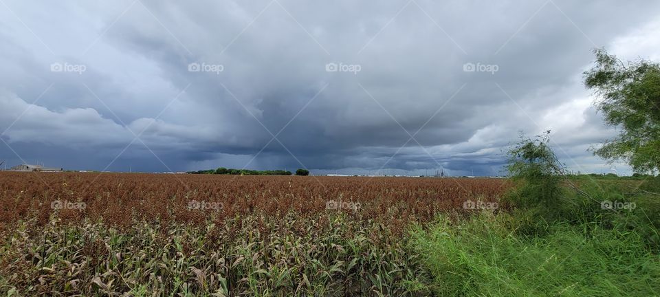Storm clouds on the horizon