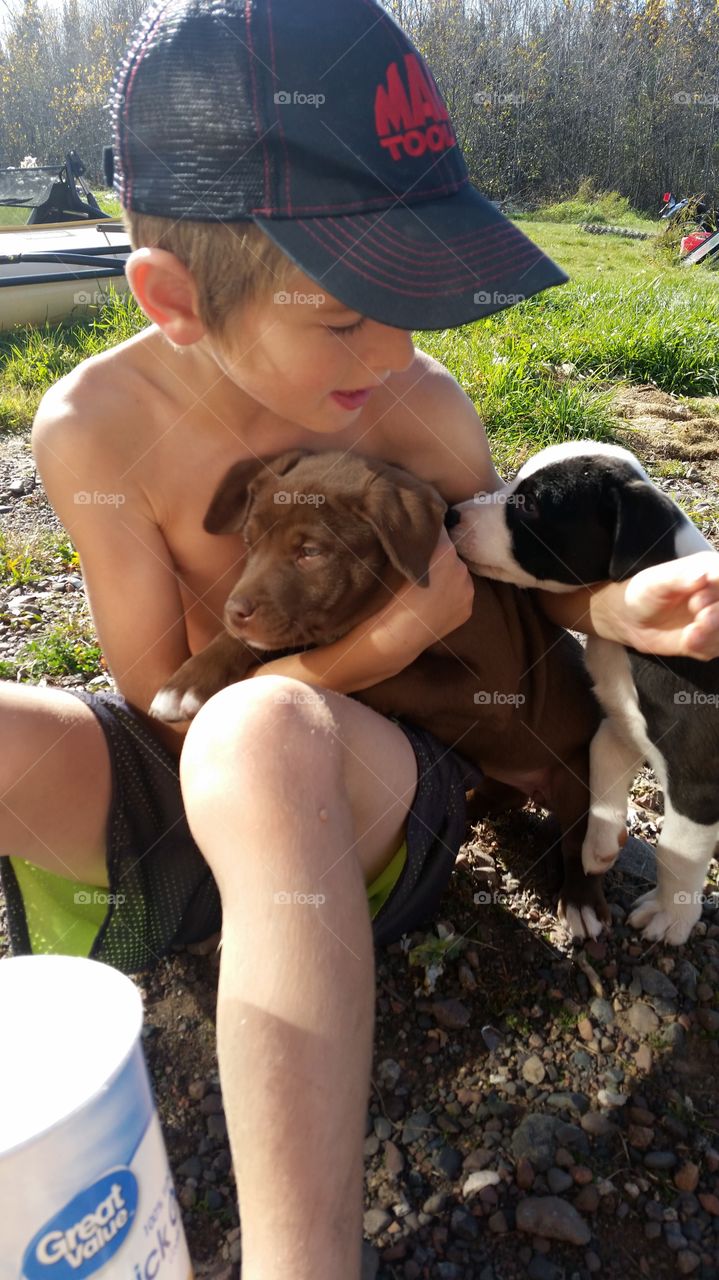 Boy and his puppys